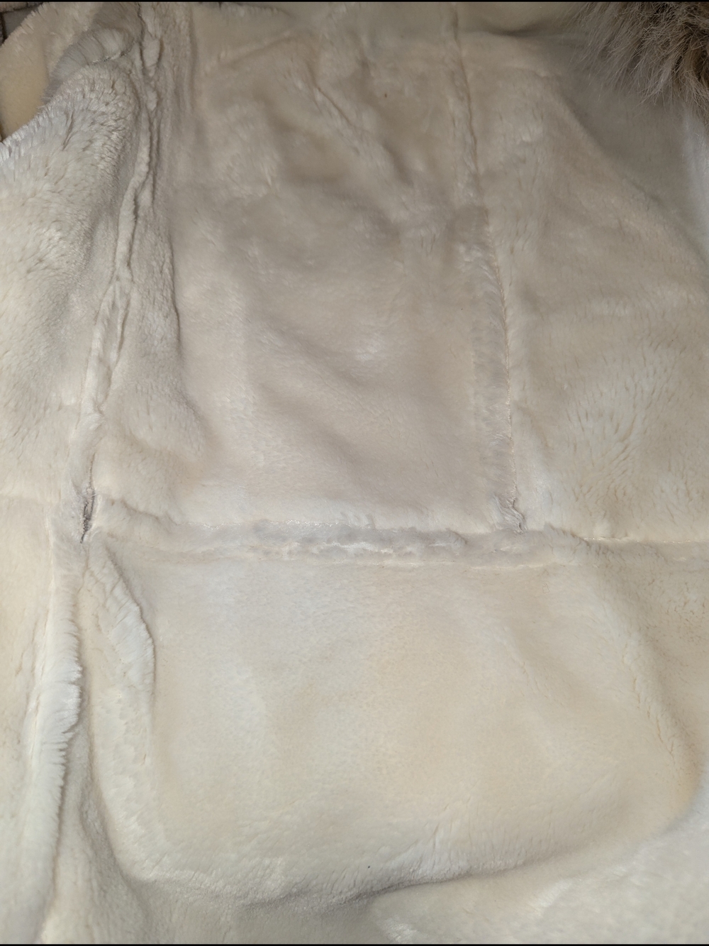 Women's Faux Shearling Trim Coat - Light Taupe - Picture 4 of 8